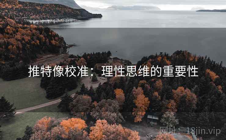 推特像校准：理性思维的重要性